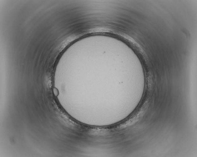 X0000111020929200907171852