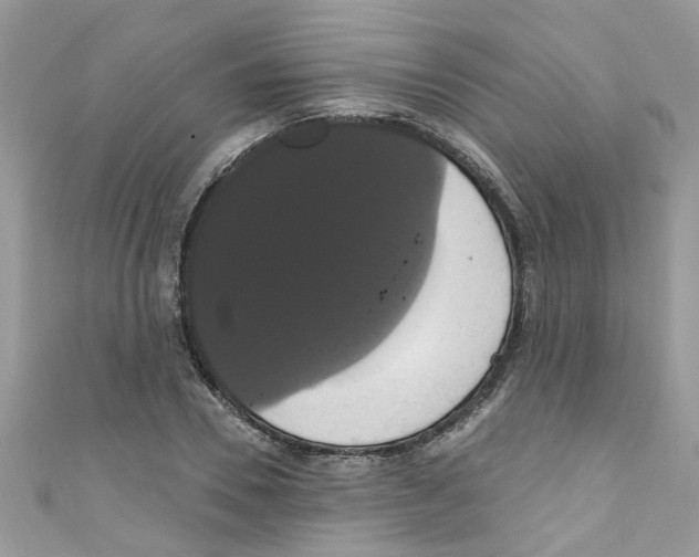X0000111020930200907171852