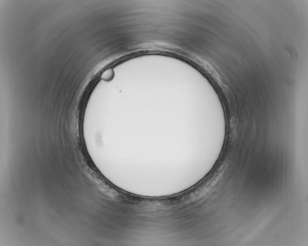 X0000111020931200907171852