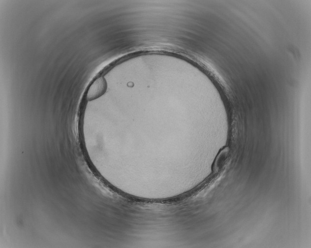 X0000111020932200907171852