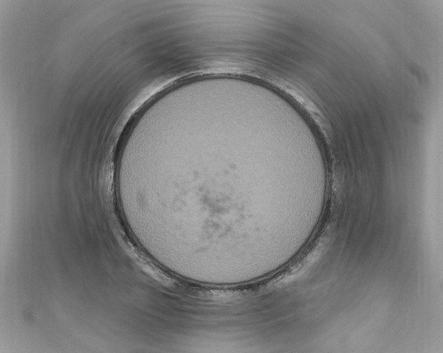 X0000111020933200907171852