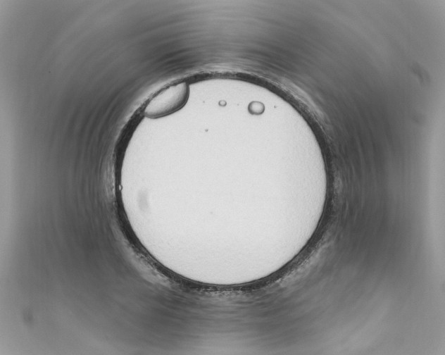 X0000111020934200907171852