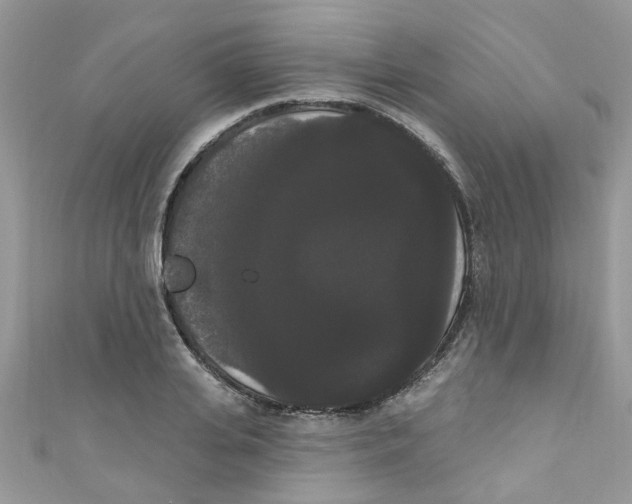 X0000111020935200907171852