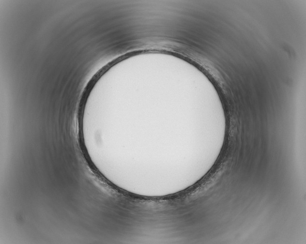 X0000111020936200907171852