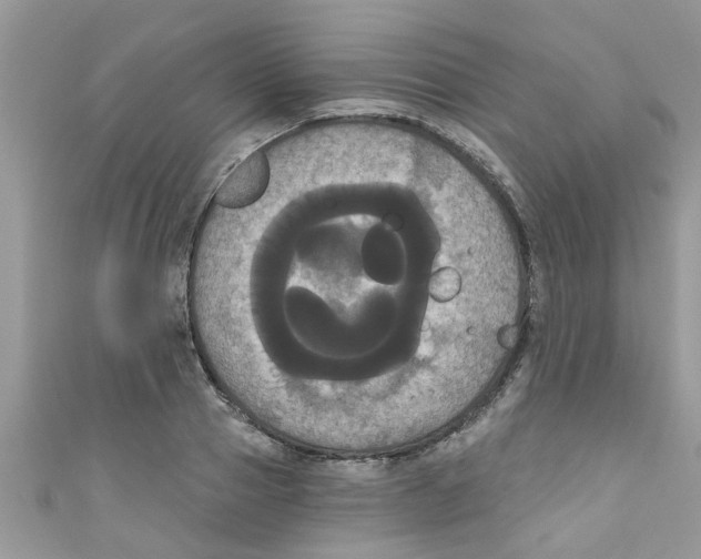 X0000111020937200907171852