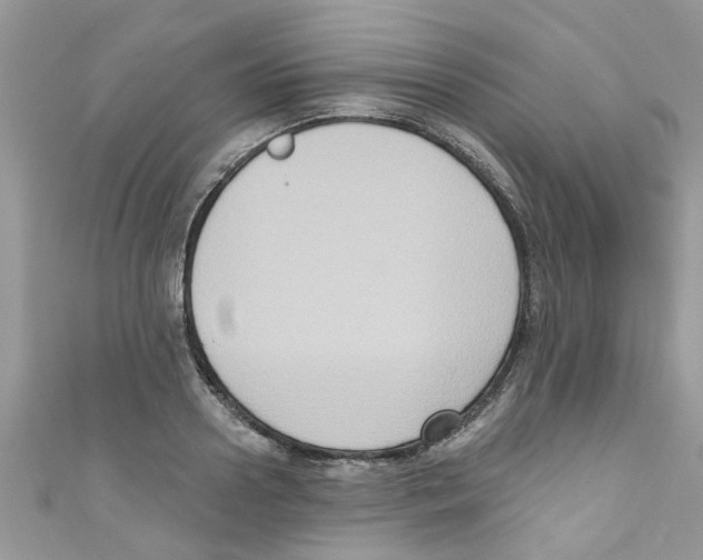 X0000111020938200907171852