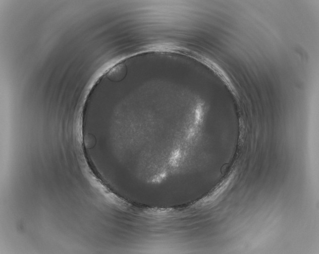 X0000111020939200907171852