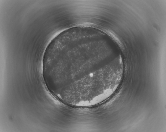 X0000111020940200907171852