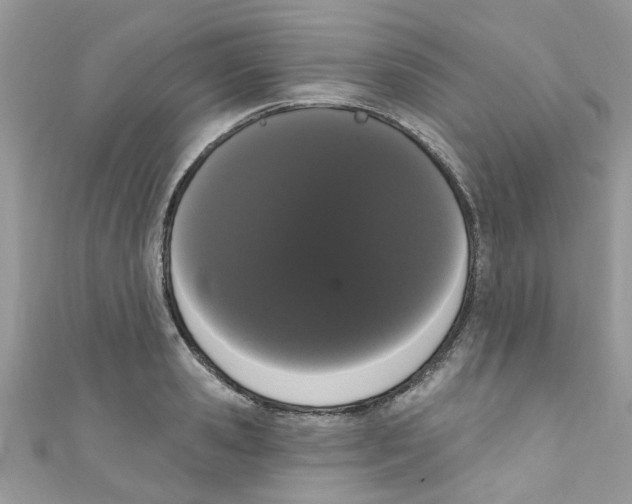 X0000111020941200907171852