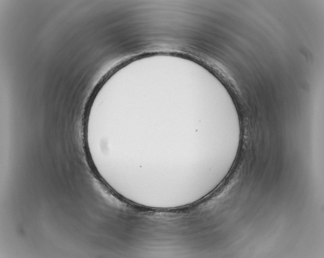 X0000111020942200907171852
