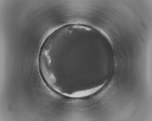 X0000111020943200907171852