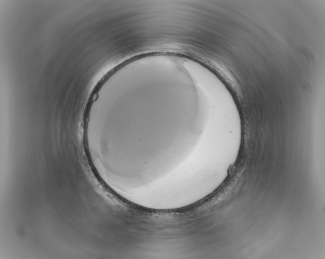 X0000111020944200907171852