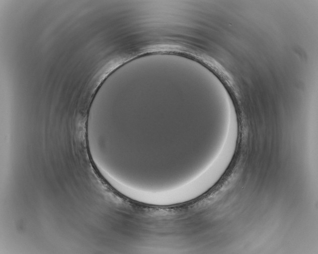 X0000111020945200907171852