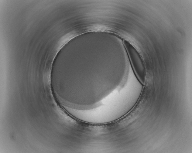 X0000111020946200907171852