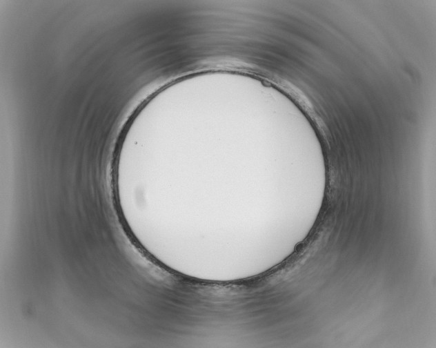 X0000111020947200907171852