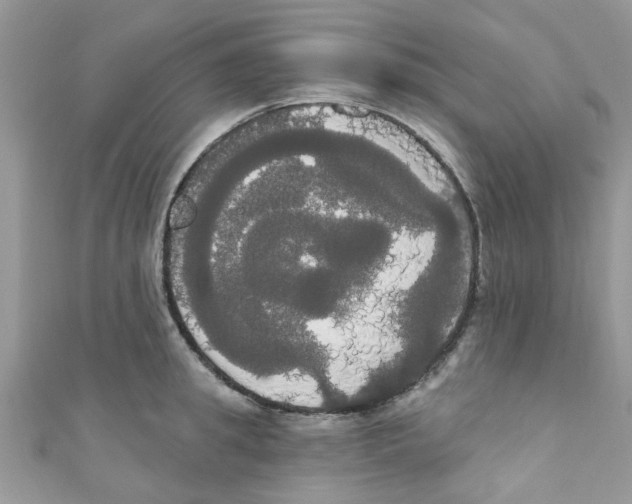 X0000111020949200907171852