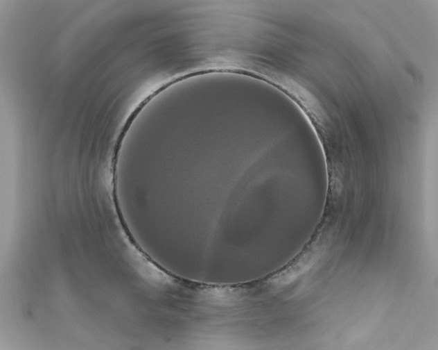 X0000111020950200907171852