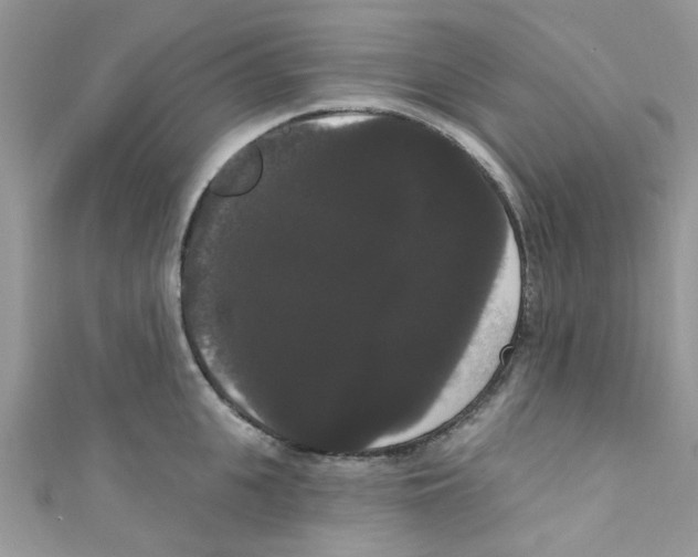 X0000111020951200907171852
