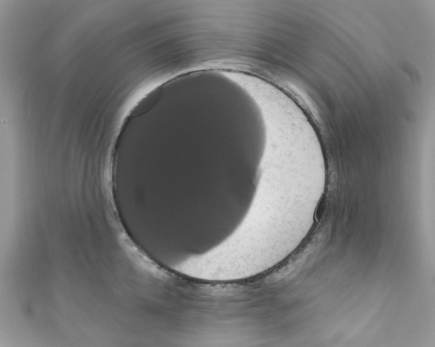 X0000111020952200907171852