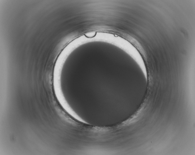 X0000111020954200907171852