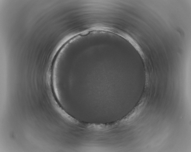 X0000111020955200907171852
