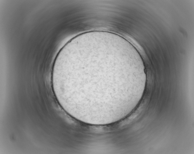 X0000111020956200907171852