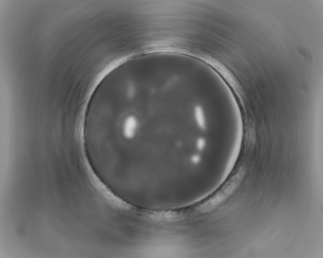 X0000111020957200907171852