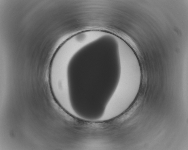 X0000111020958200907171852