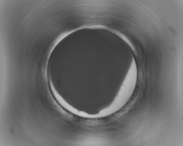 X0000111020959200907171852