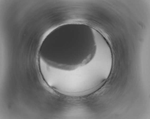 X0000111020960200907171852
