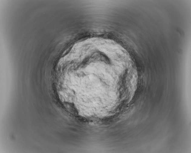 X0000111020961200907171852