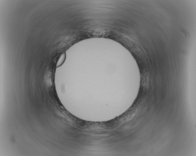 X0000111020962200907171852