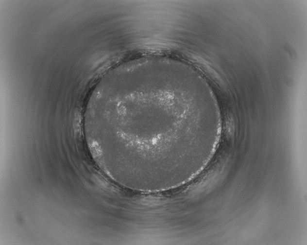 X0000111020964200907171852