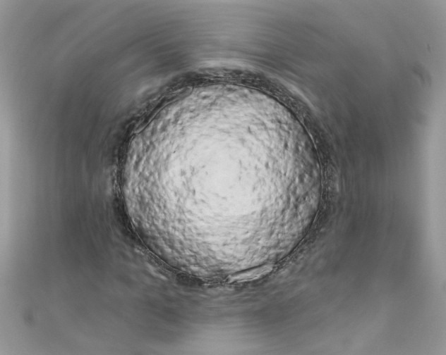 X0000111020965200907171852