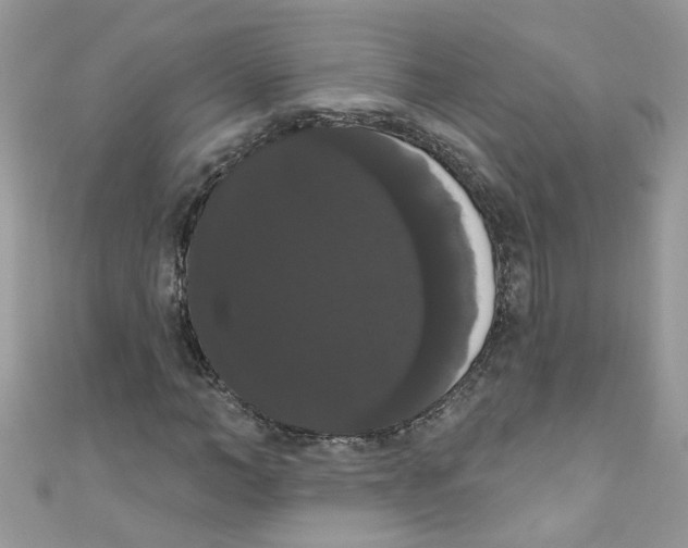 X0000111020966200907171852