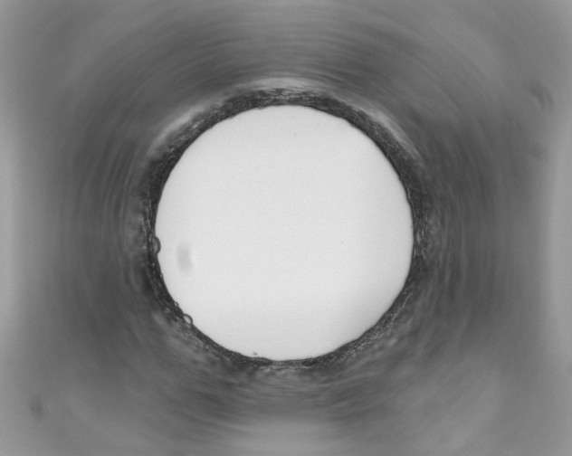 X0000111020967200907171852