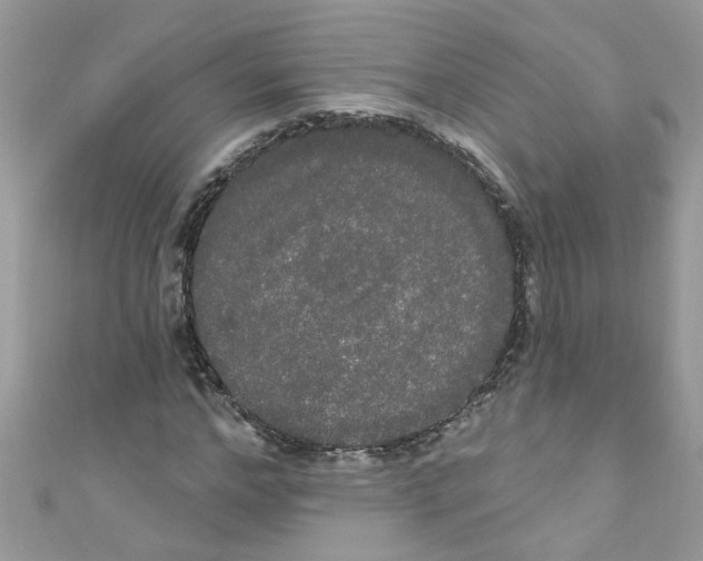 X0000111020968200907171852