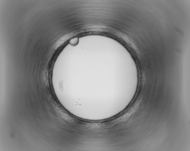 X0000111020970200907171852
