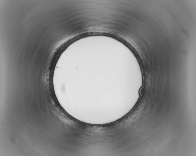 X0000111020971200907171852