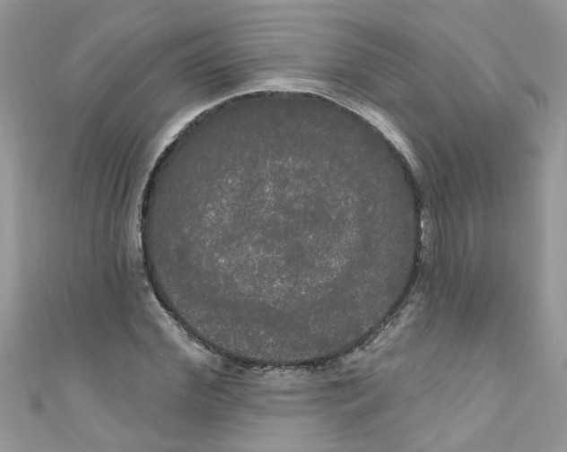 X0000111020972200907171852