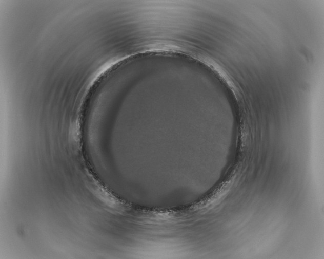 X0000111020975200907171851