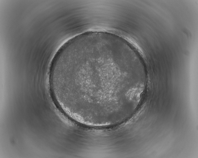 X0000111020976200907171851