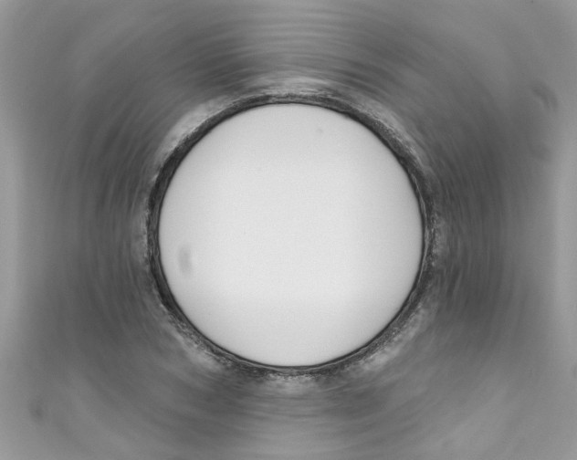 X0000111020978200907171851