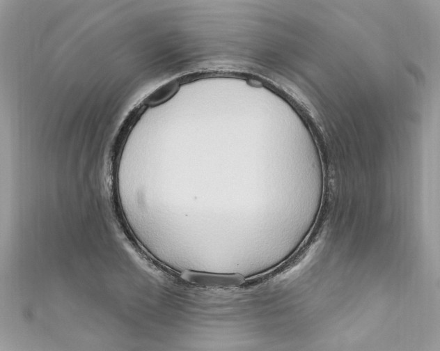 X0000111020981200907171851