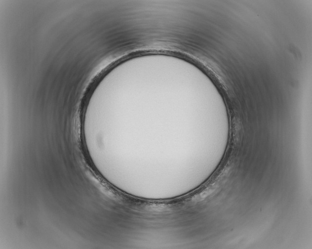 X0000111020982200907171851