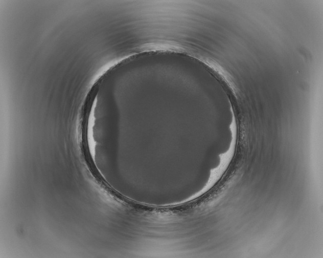 X0000111020983200907171851