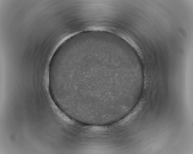 X0000111020984200907171851