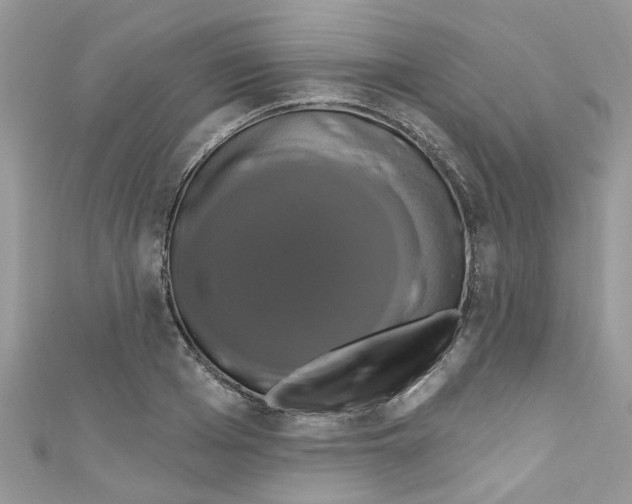 X0000111020985200907171851