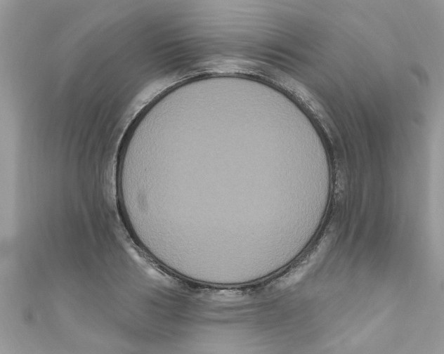 X0000111020986200907171851