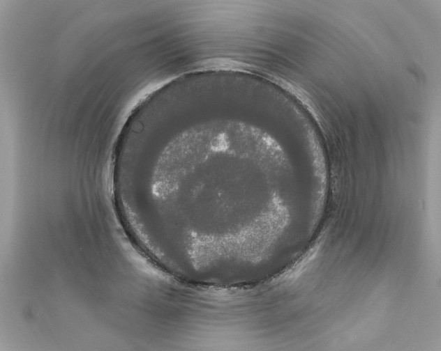 X0000111020987200907171851